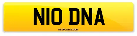 N10 DNA