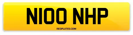 N100 NHP