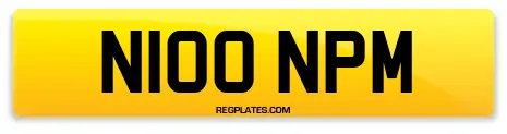 N100 NPM