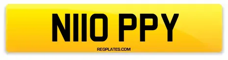 N110 PPY