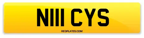 N111 CYS