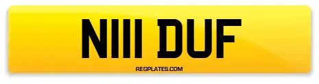 N111 DUF