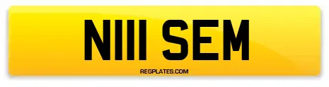 N111 SEM