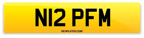 N12 PFM