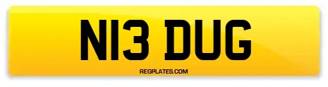 N13 DUG