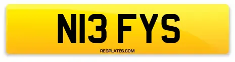 N13 FYS