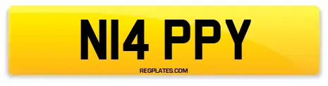 N14 PPY