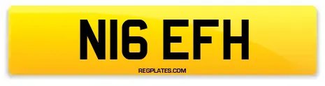 N16 EFH