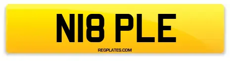 N18 PLE