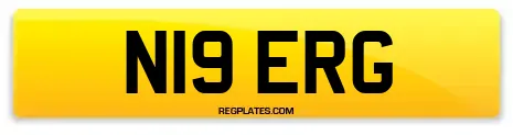 N19 ERG