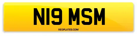 N19 MSM