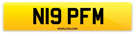 N19 PFM