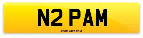 N2 PAM