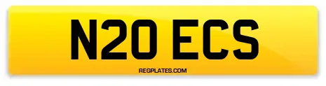 N20 ECS