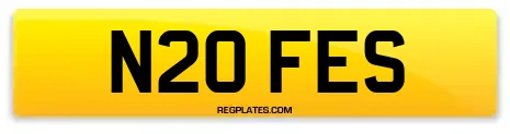 N20 FES