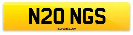 N20 NGS