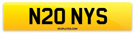 N20 NYS