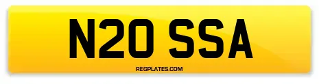 N20 SSA