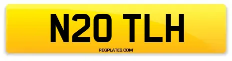 N20 TLH