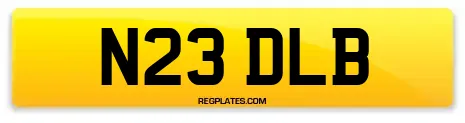 N23 DLB