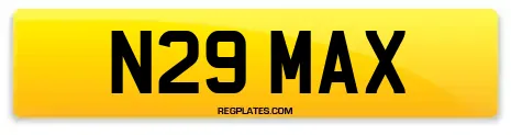 N29 MAX