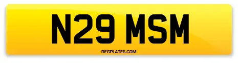 N29 MSM