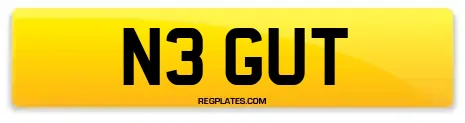 N3 GUT