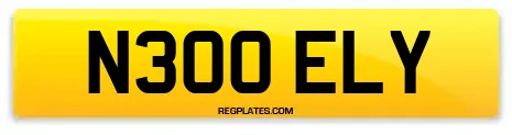 N300 ELY