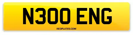 N300 ENG