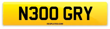 N300 GRY