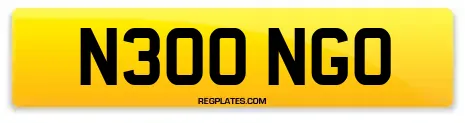 N300 NGO