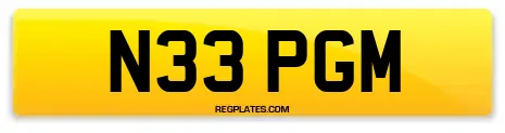 N33 PGM