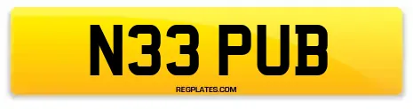 N33 PUB