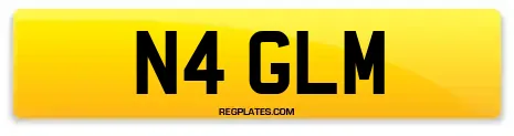 N4 GLM
