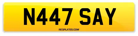 N447 SAY