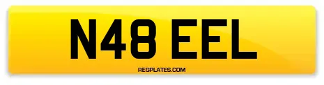 N48 EEL