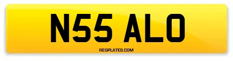 N55 ALO