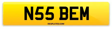 N55 BEM