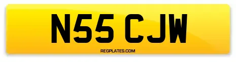 N55 CJW