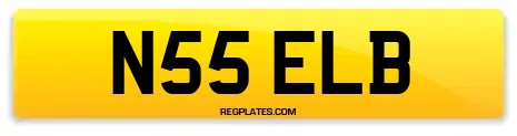 N55 ELB