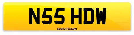 N55 HDW