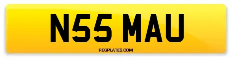 N55 MAU