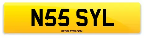 N55 SYL