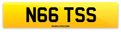 N66 TSS