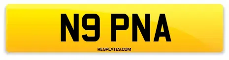 N9 PNA