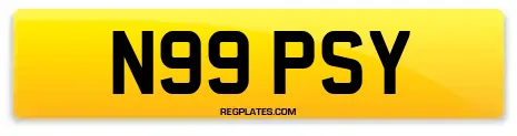 N99 PSY