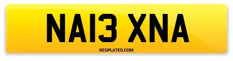 NA13 XNA
