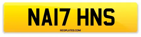 NA17 HNS