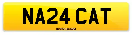 NA24 CAT