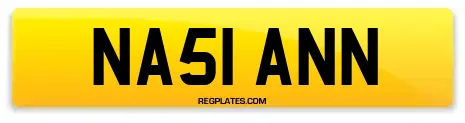 NA51 ANN